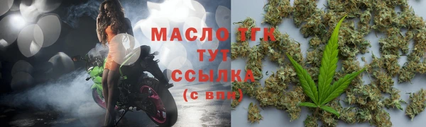индика Ельня