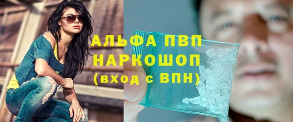 индика Ельня