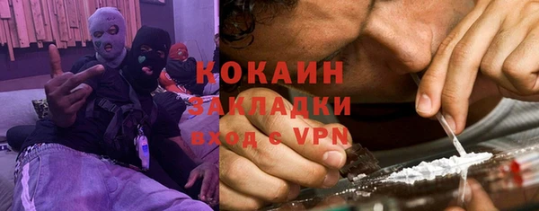 индика Ельня