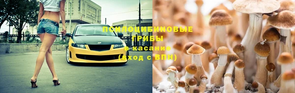 a pvp Елабуга