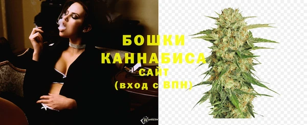 индика Ельня