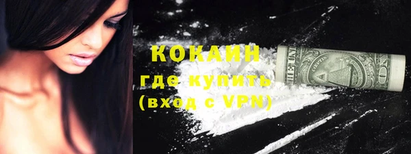 индика Ельня