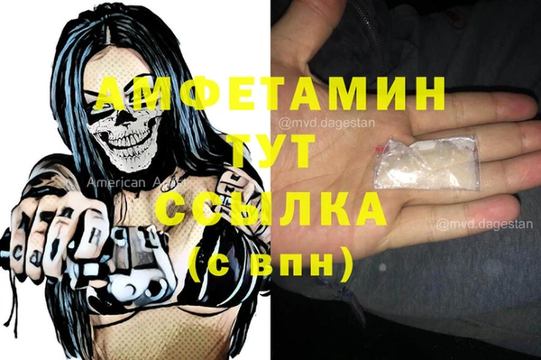 индика Ельня
