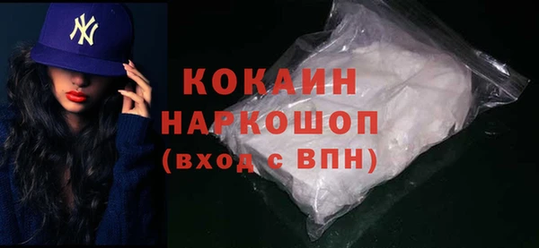 индика Ельня