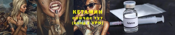 индика Ельня