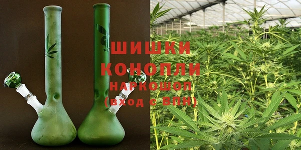 ПСИЛОЦИБИНОВЫЕ ГРИБЫ Елизово