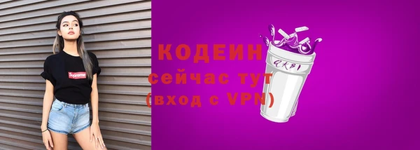 индика Ельня