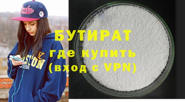 индика Ельня