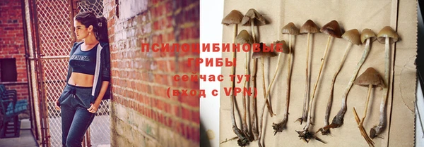 ПСИЛОЦИБИНОВЫЕ ГРИБЫ Елизово