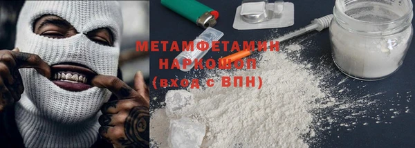 индика Ельня