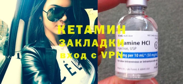 индика Ельня