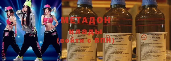 индика Ельня