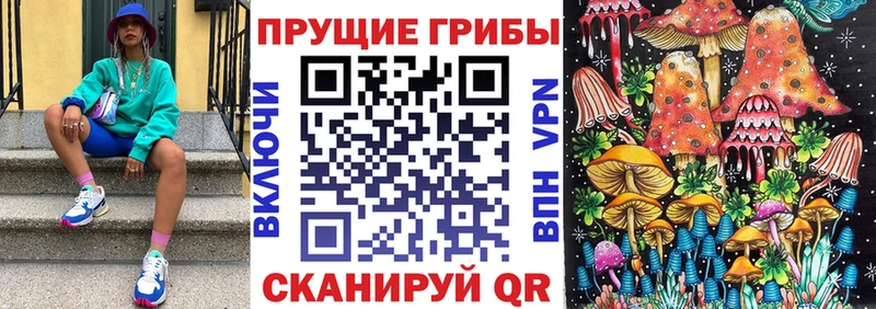 Псилоцибиновые грибы Psilocybe  Купить закладки  Кондрово 